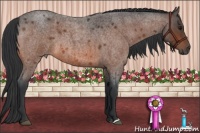 Horse Color:Bay Roan 