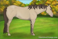Horse Color:Classic Cream Champagne Roan Dun Rabicano