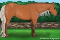 Horse Color:Silver Bay 