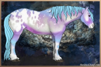 Horse Color:Watercolor Bay Onyx Appaloosa 