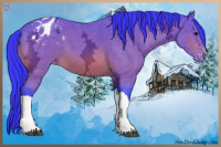 Horse Color:Watercolor Bay Ice Appaloosa 