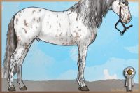 Horse Color:Brown Roan Dun Blanket Brindle  and Brown Roan Dun Varnish Brindle 