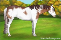Horse Color:Chocolate Bay Sabino Splash Frame Rabicano