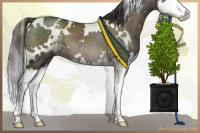 Horse Color:Platinum White Spotted Liver Chestnut Splash 