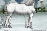 Horse Color:Plaid Liver Red Onyx Sabino Splash Rabicano