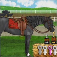 Horse Color:Blue Roan 