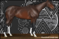 Horse Color:Brown 