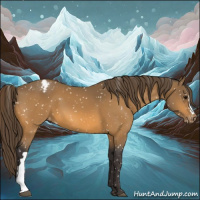 Horse Color:Buckskin Appaloosa