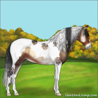 Horse Color:Brown Onyx Tobiano