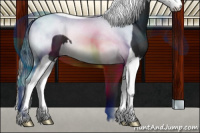 Horse Color:Black Splash Tobiano 