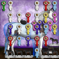 Horse Color:Brown Splash Tobiano 