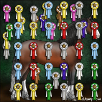 Horse Color:Bay Splash 