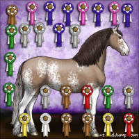 Horse Color:White Spotted Classic Champagne Splash