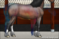 Horse Color:Bay Roan 