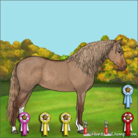 Horse Color:Liver Red Dun 