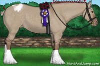 Horse Color:Silver Grullo Appaloosa 