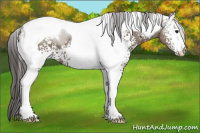 Horse Color:White Spotted Smoky Grullo Tobiano