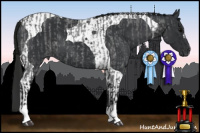 Horse Color:Gray Blue Roan and Black Tobiano