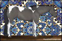 Horse Color:Blue Roan Tobiano 