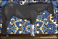 Horse Color:Gray Liver Red Roan 