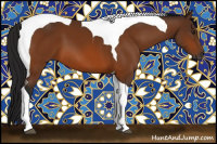 Horse Color:Gray Buckskin Tobiano 