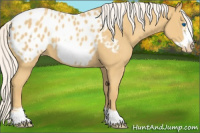 Horse Color:Silver Classic Cream Champagne Frame Appaloosa 