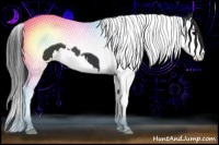 Horse Color:Black Splash Tobiano 