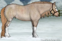 Horse Color:White Spotted Liver Red Dun Roan Rabicano 