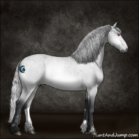 Horse Color:Silver Bay Chinchilla Ice Roan 