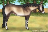 Horse Color:Brown Onyx