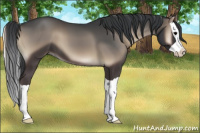 Horse Color:Blue Onyx Splash 
