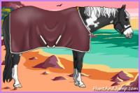 Horse Color:White Spotted Black Frame Blanket 