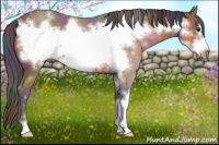 Horse Color:Nacre Bay Frame 