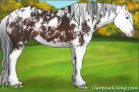 Horse Color:Brown Sabino Splash Varnish 