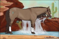 Horse Color:Liver Red Dun 