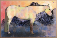 Horse Color:Nacre Buckskin Roan 