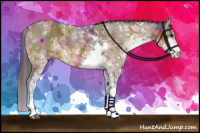 Horse Color:Nacre Bay Ice Sabino 
