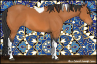 Horse Color:Bay Tobiano 