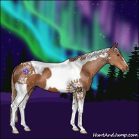 Horse Color:Chestnut Tobiano