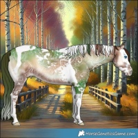 Horse Color:Red Onyx Ice Splash Tobiano 