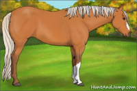 Horse Color:Silver Buckskin