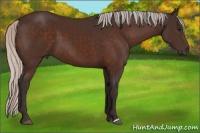 Horse Color:Silver Brown 