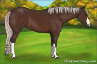 Horse Color:Silver Brown