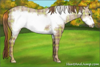 Horse Color:Plaid  Chestnut Ice Frame 