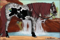 Horse Color:Painted Smoky Black Ice Sabino Frame