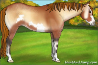Horse Color:Painted Bay Onyx Frame