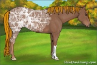 Horse Color:Painted Chestnut Ice 