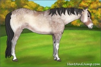 Horse Color:Bay Ice Onyx 