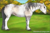 Horse Color:White Spotted Brown Ice Onyx