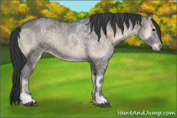 Horse Color:Blue Onyx Ice 